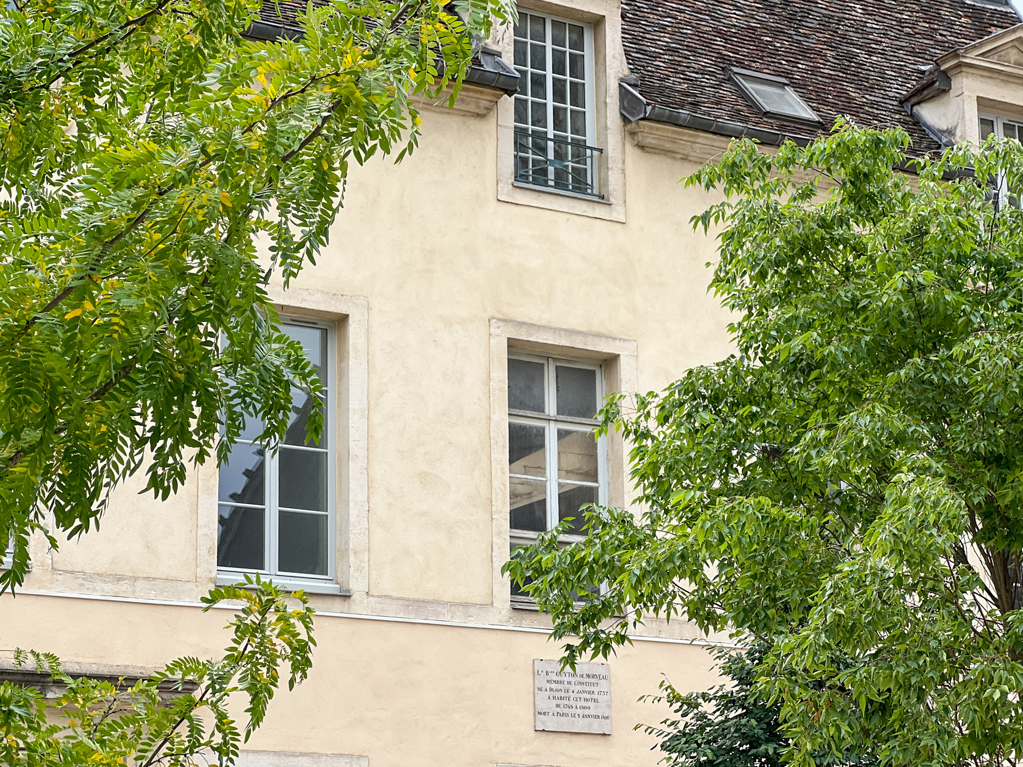 Façade de l'hôtel Guyton de Morveau derrière les arbres de la place