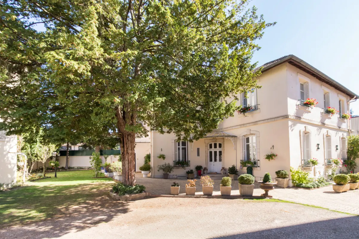 Façade d'une maison de maître derrière un grand arbre